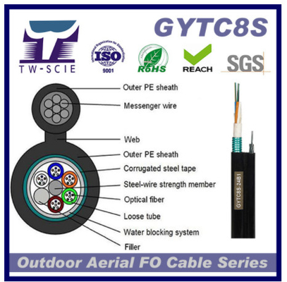 Câble optique enterré direct blindé en acier de fibre de câble optique de fibre de noyau de GYTC8s 36 utilisé dans le telecommuniction