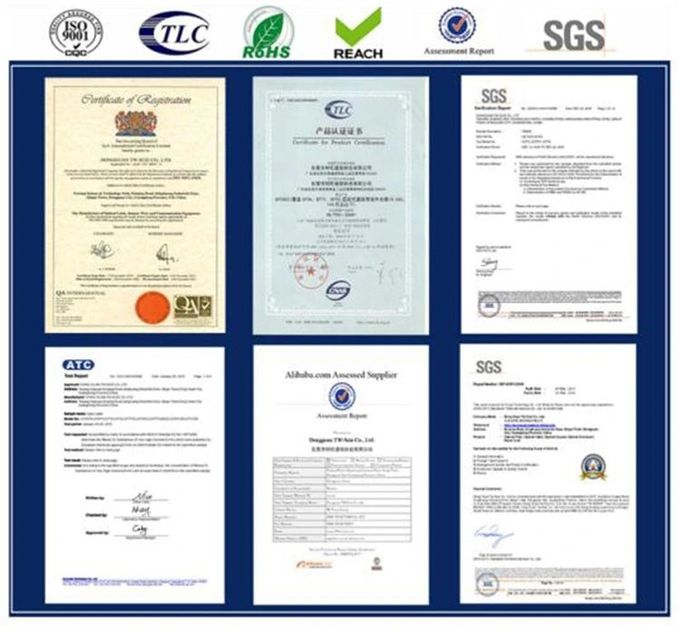 DONGGUAN TW-SCIE CO., LTD. Profil de la société